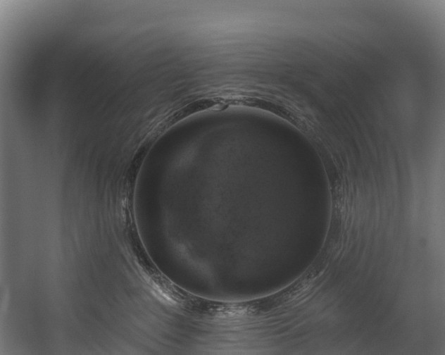 X0000058810235200510031355