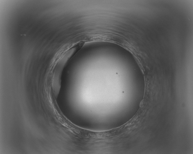 X0000058810241200510031354