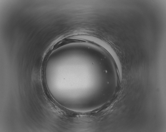 X0000058810244200510031354