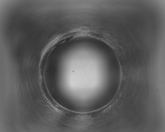 X0000058810245200510031354