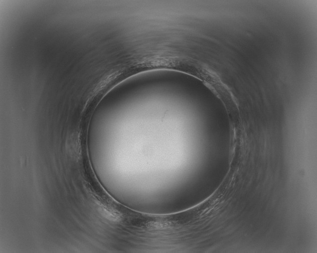 X0000058810250200510031354