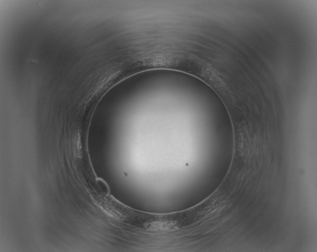 X0000058810251200510031354