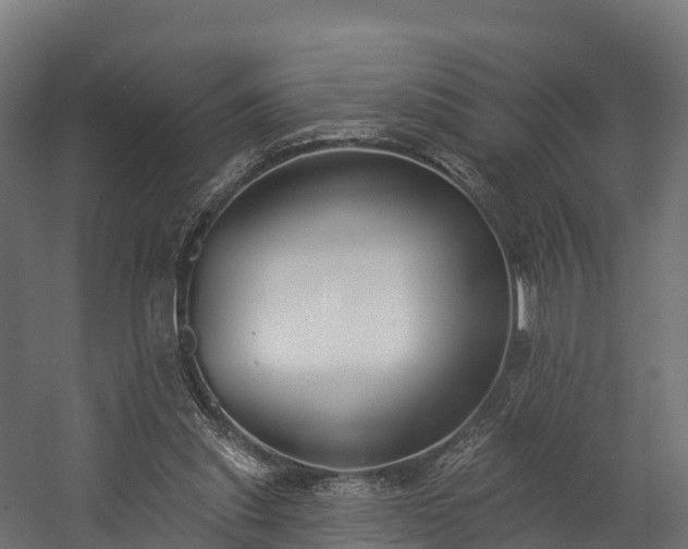 X0000058810253200510031354