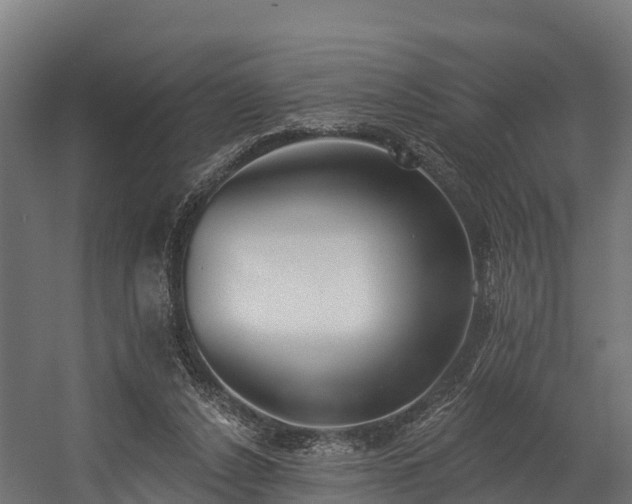 X0000058810256200510031354