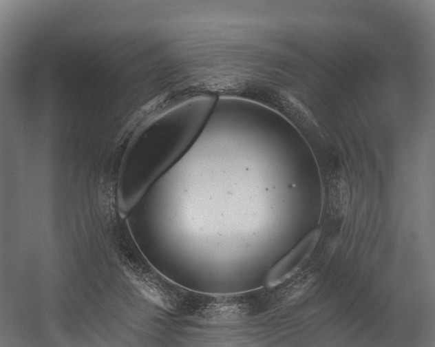 X0000058810260200510031354