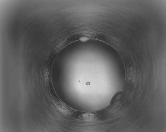 X0000058810279200510031355