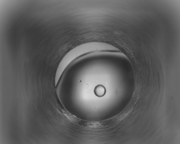 X0000058810288200510031355