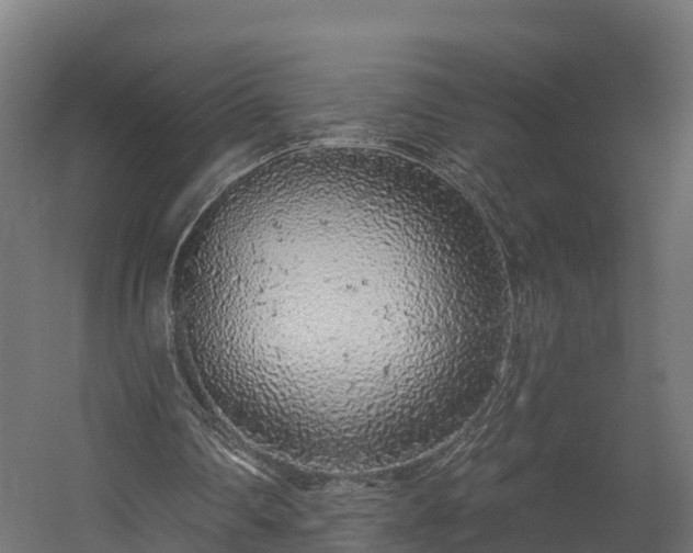 X0000058810290200510031354