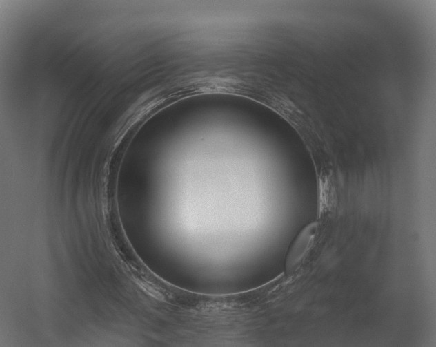 X0000058810291200510031354