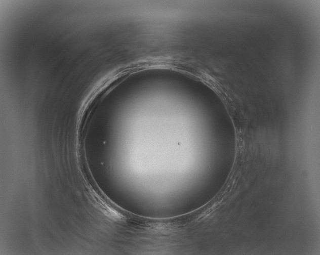 X0000058810293200510031354