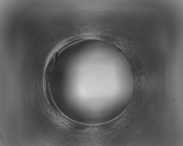 X0000058810294200510031354