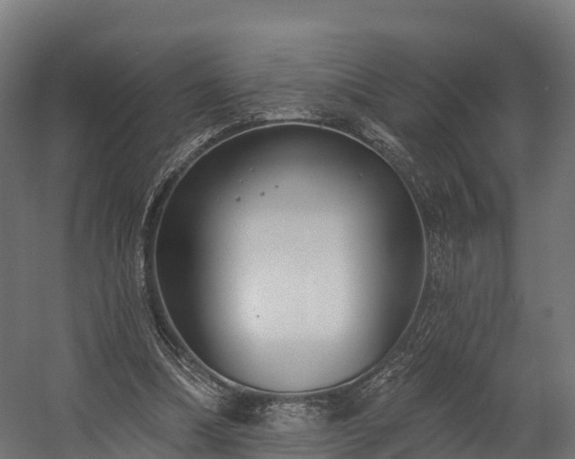 X0000058810298200510031354