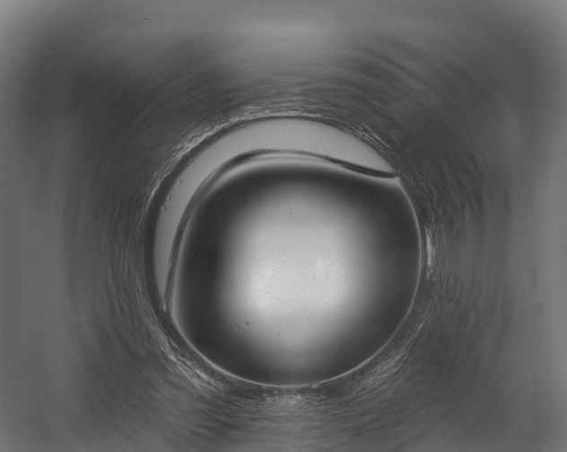 X0000058810301200510031354