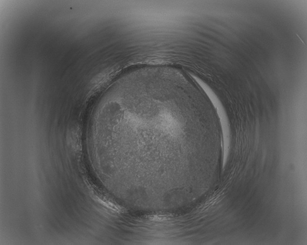 X0000058810303200510031354