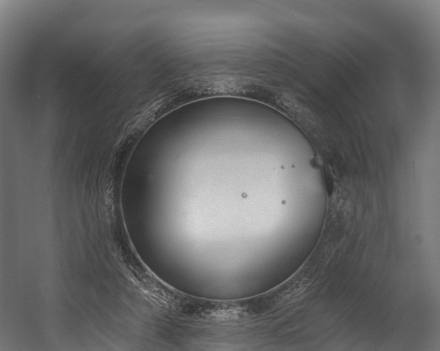 X0000058810306200510031354