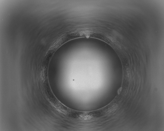 X0000058810311200510031354