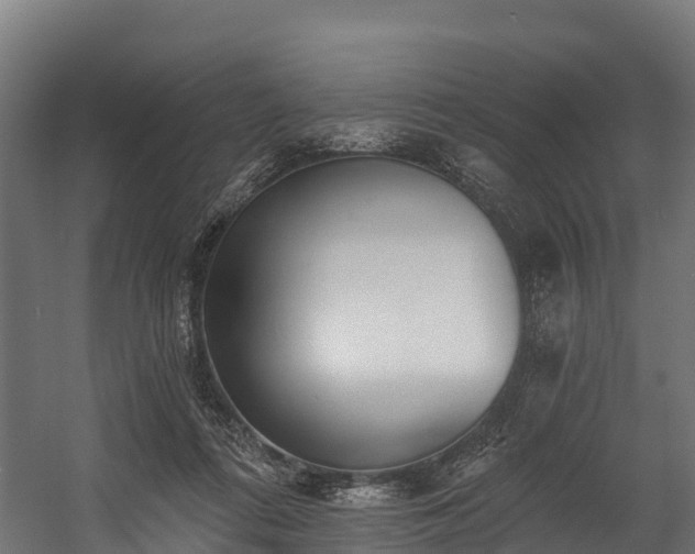 X0000058810312200510031354