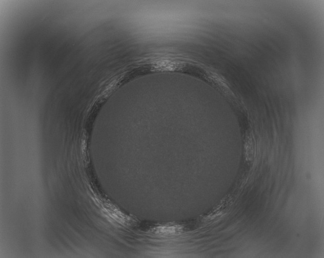 X0000058810314200510031354