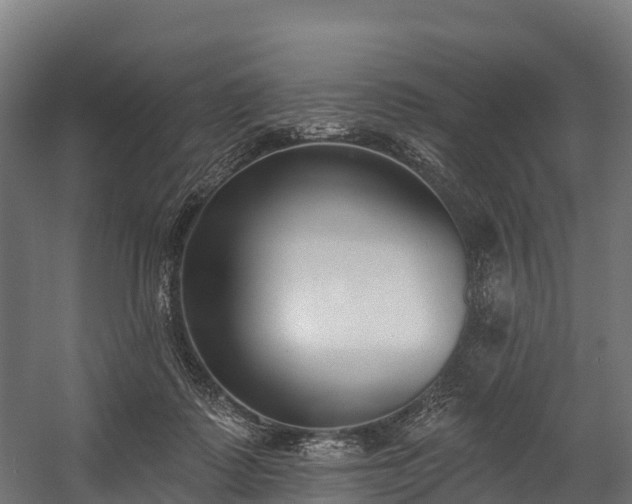 X0000058810315200510031354