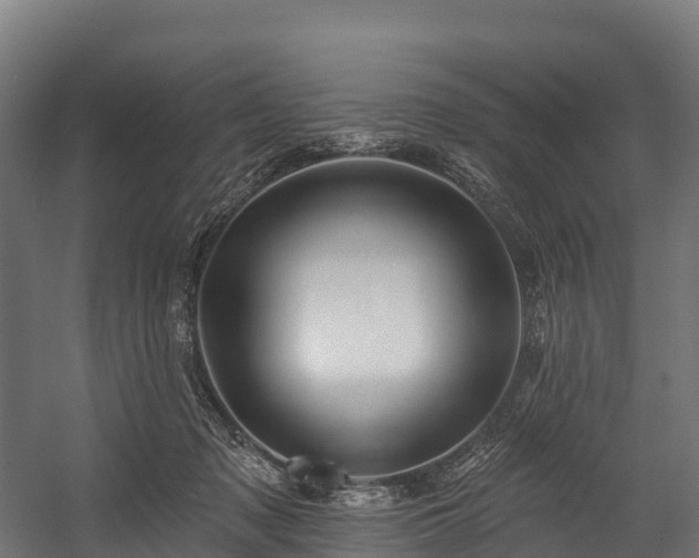 X0000058810317200510031354