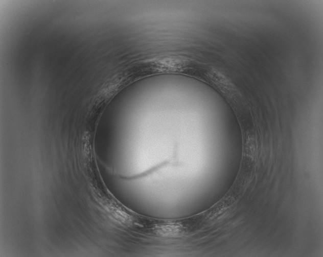 X0000058810318200510031354