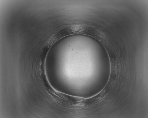 X0000058810319200510031354