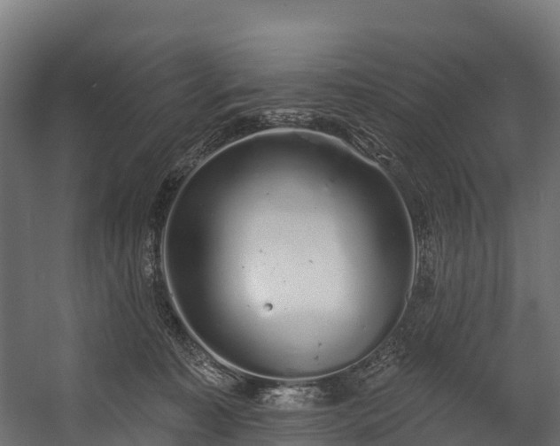 X0000058810323200510031353