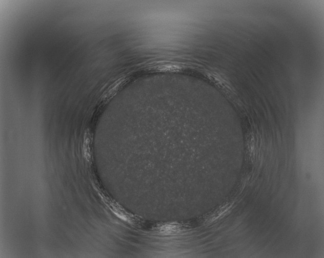 X0000058810325200510031353