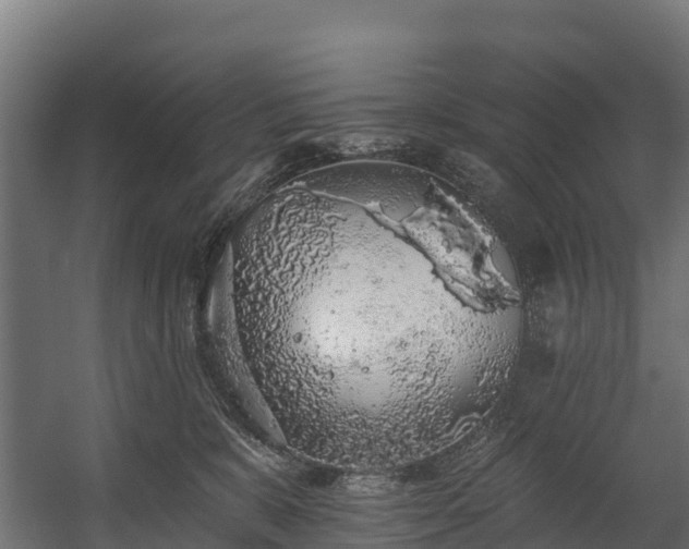 X0000058810327200510031353