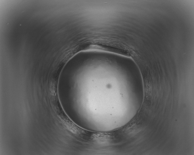 X0000058810331200510031353