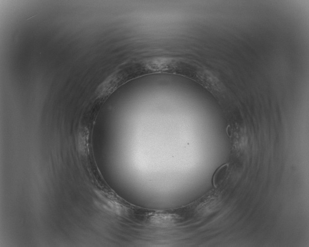 X0000058810332200510031353