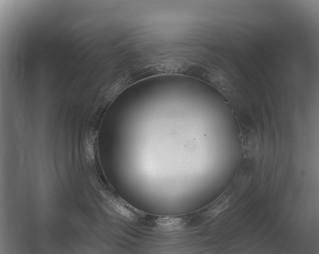 X0000058810334200510031353