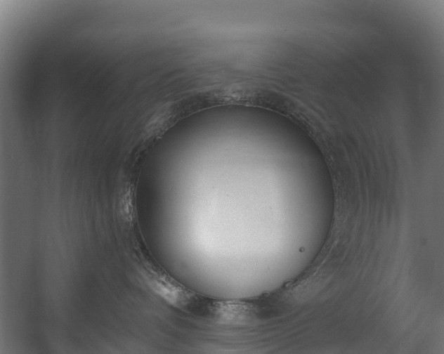 X0000058810336200510031353