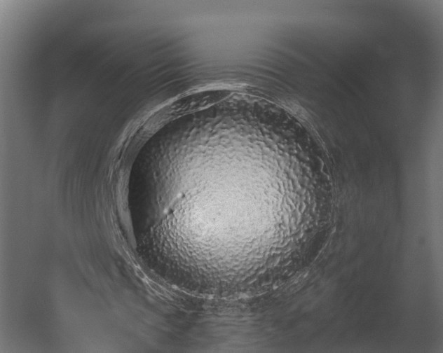 X0000058810337200510031352