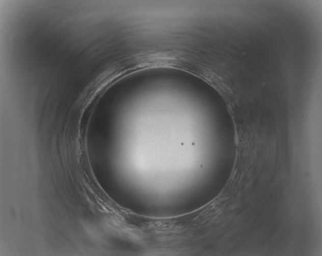 X0000058810338200510031352