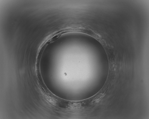 X0000058810340200510031352