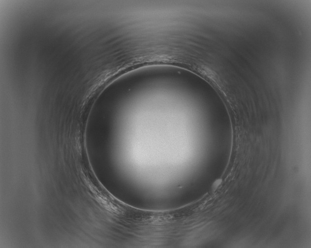 X0000058810345200510031353