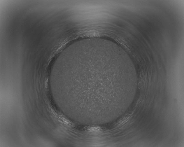 X0000058810355200510031353