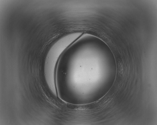 X0000058810356200510031353