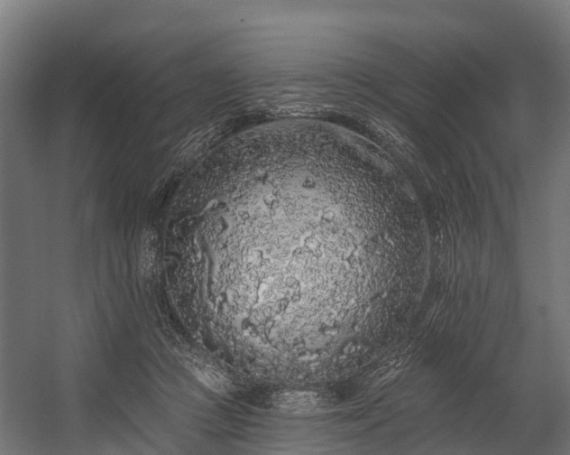 X0000058810361200510031353