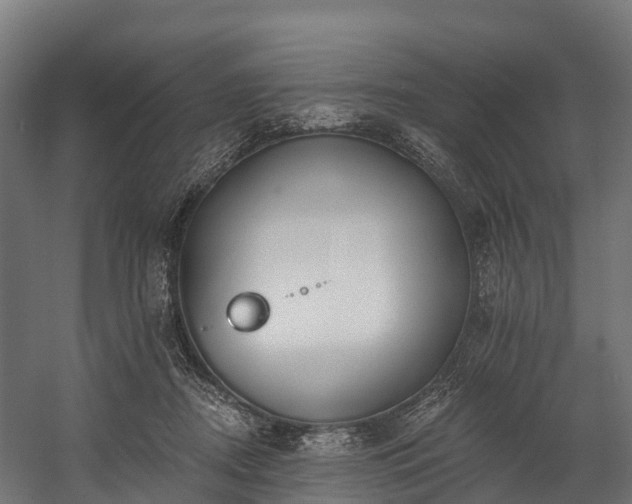 X0000058810362200510031353