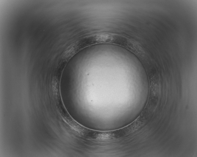 X0000058810375200510031353