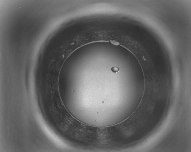 X0000058810382200510031353