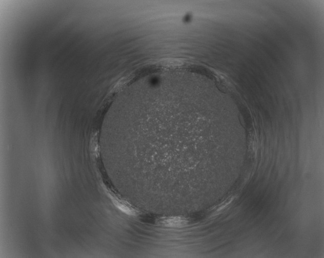 X0000058810383200510031353