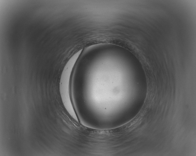 X0000058810384200510031353