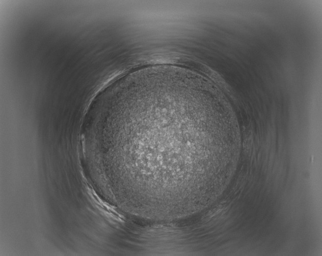 X0000058810386200510031352