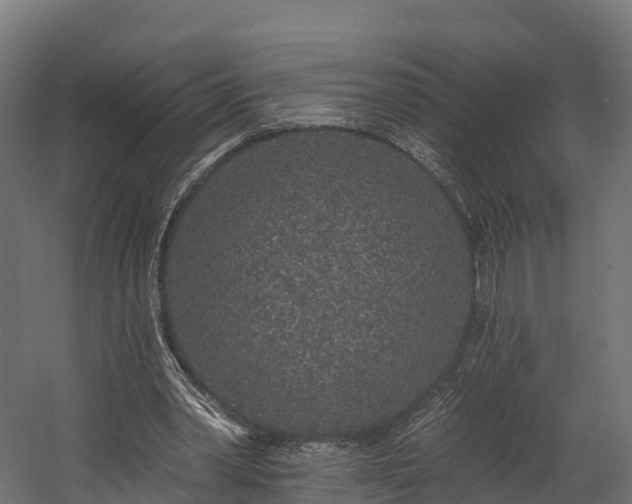 X0000058810390200510031352