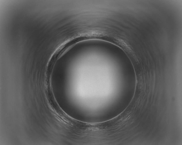 X0000058810392200510031352