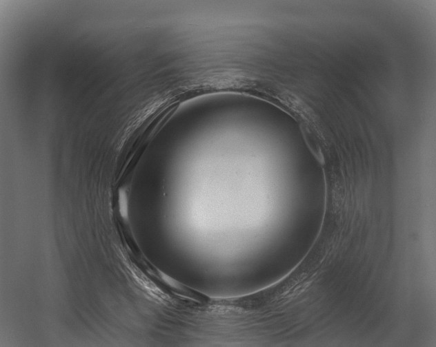 X0000058810393200510031352