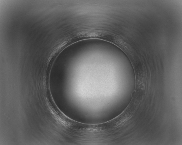 X0000058810394200510031352